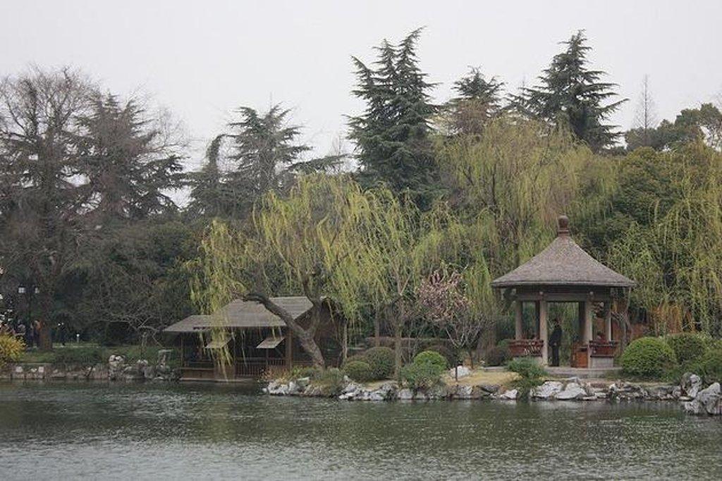 碧波荡漾打一生肖、积极作答，落实解释