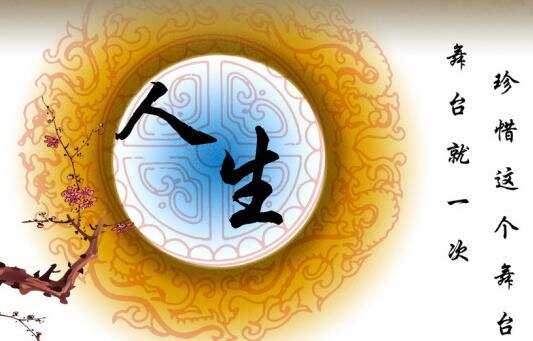 杀打一生肖数子、之谜与人生哲理的深度解析