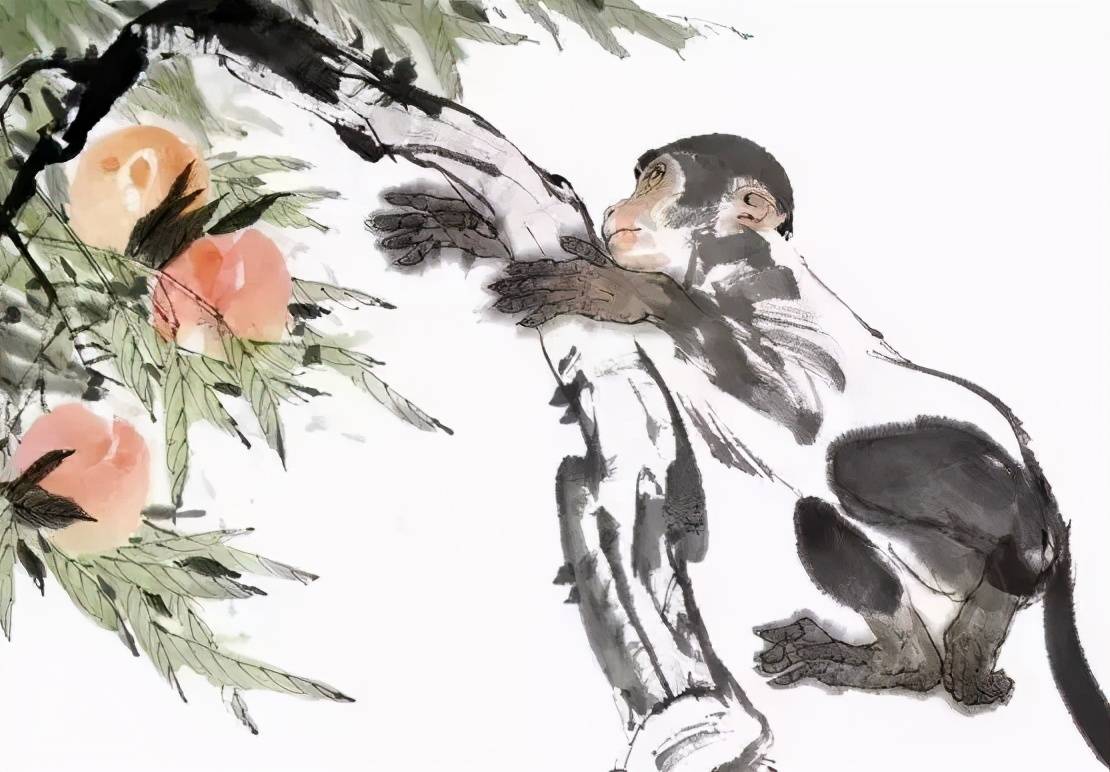 一日两餐的智慧，揭秘生肖中的不安分之选—猴